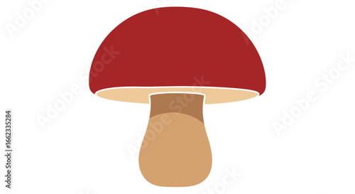 Illustration of a mushroom with a red cap and a tan stem on a white background in a simple cartoon style on transparent background