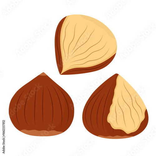 Chestnuts set isolated on white background. Healthy snack clipart. Doodle peeled and unpeeled chestnut food in cartoon style. Vector illustration