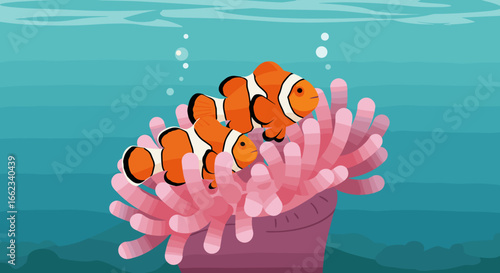 Clownfish swimming in coral reef underwater scene animated illustration ocean environment vivid colors. Vector illustration