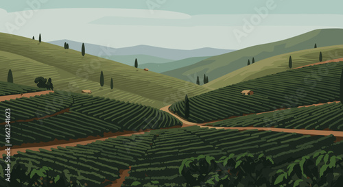 Breathtaking vineyard landscape in rolling hills nature scene tranquil environment panoramic view. Vector illustration