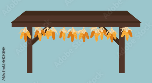 Harvesting corn drying techniques at a farm stand agricultural setting rustic viewpoint seasonal concept. Vector illustration