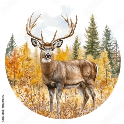watercolor of Deer In Autumn Forest, vector, isolated on a white background.