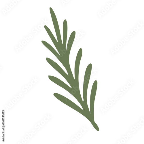 Green rosemary herb branch illustration isolated on white background simple flat vector design.