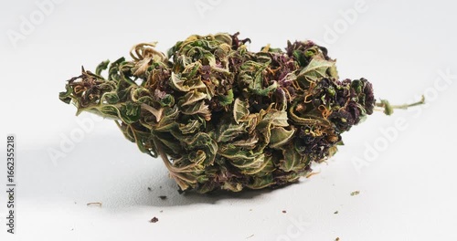 cannabis dry bud close up medical marijuana