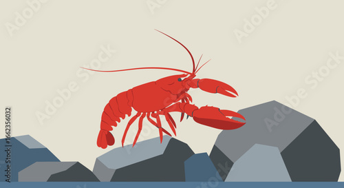 Lively lobster crawling on rocky shore coastal habitat animated illustration vibrant marine life. Vector illustration