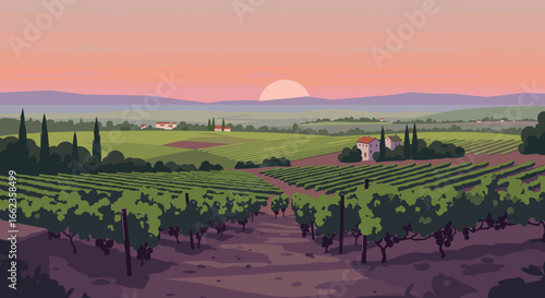 Sunset vineyard view countryside digital art serene landscape aerial perspective nature's beauty. Vector illustration