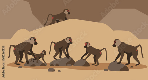 Baboons foraging and interacting on rocky terrain african savannah digital art natural environment ground level wildlife behavior. Vector illustration