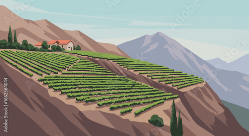 Vineyard harvesting action mountainous region illustrated artwork serene environment aerial view agricultural concept. Vector illustration