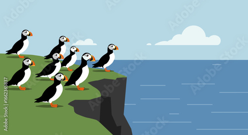 Puffin birds preparing to dive from cliff edge coastal view illustration calm ocean still perspective nature exploration. Vector illustration