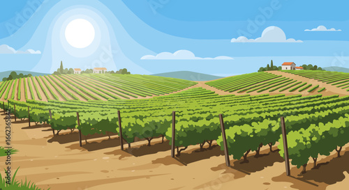 Vineyard harvest festival countryside landscape digital illustration sunny day panoramic view nature's abundance. Vector illustration