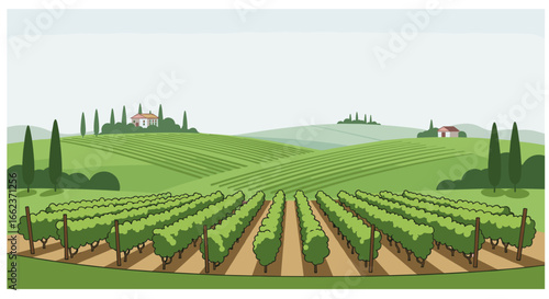 Vineyard harvesting event tuscany digital illustration scenic hills aerial perspective agricultural beauty. Vector illustration