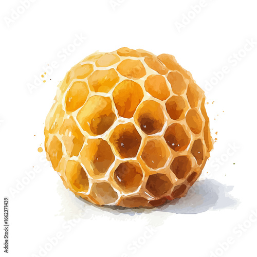 Beehive, watercolor painting vector, isolated on a white background.
