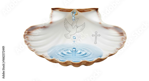 Baptism shell with water dove and cross christian symbol religious ceremony holy spirit spiritual symbol 100