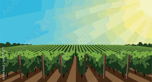 Vineyard harvesting event sunny landscape digital illustration scenic viewpoint nature's bounty. Vector illustration