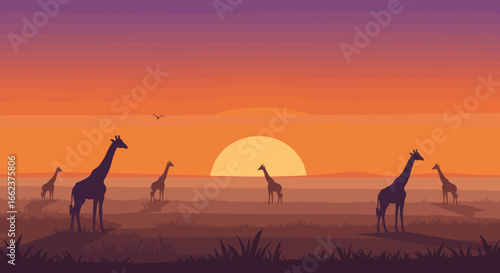 Giraffes grazing at sunset african savanna digital illustration serene landscape wide view wildlife concept. Vector illustration