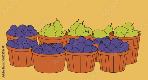 Harvesting fresh pears and plums in colorful baskets farmer's market digital illustration bright background eye-level view. Vector illustration