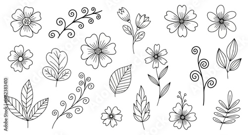 Exquisite Hand-Drawn Floral Illustrations with Delicate Outlines for Botanical Designs, Wedding Invitations, and Nature-Inspired Creative Projects