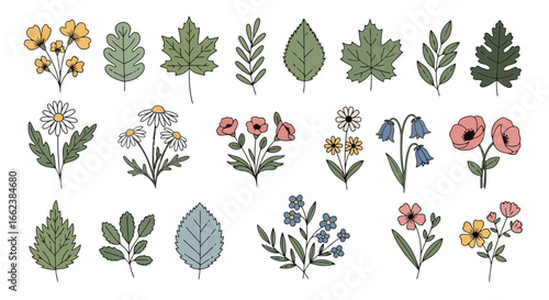 Delicate Hand-Drawn Floral and Botanical Vector Set Featuring Diverse Leaf and Flower Illustrations, Ideal for Spring Designs, Wedding Invitations, and Nature-Inspired Graphics