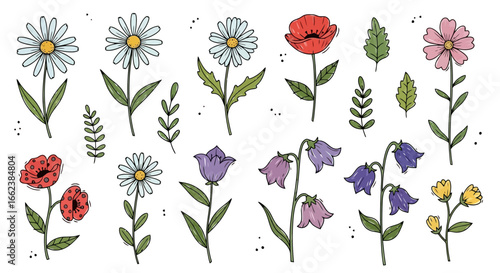 Hand-Drawn Wildflower Illustration Set for Springtime Designs and Botanical Projects, ideal for creating invitations, cards, and decorative elements
