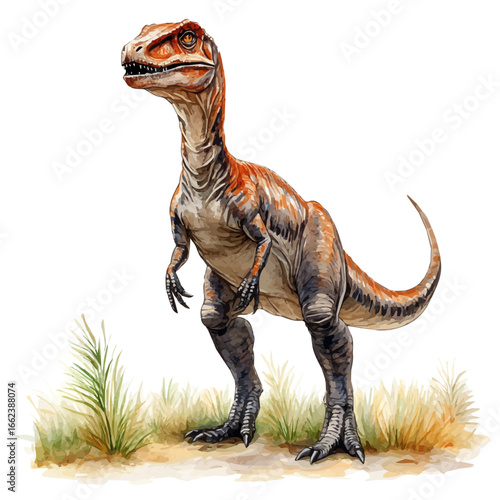 watercolor of Allosaurus, vector, isolated on a white background.