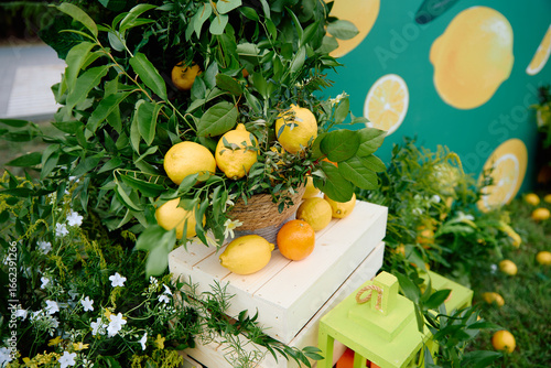 Fresh lemons arranged with greenery and citrus backdrop