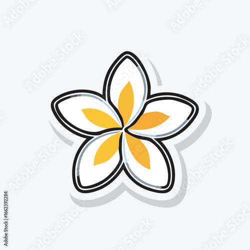 Close-up of a white and yellow plumeria flower with a black outline and a shadow.
