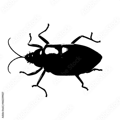 A black silhouette of a beetle is shown from directly above, with intricate segmented legs, distinctive body armor plates, and long thin antennae, all harmoniously arranged to create a symmetrical and