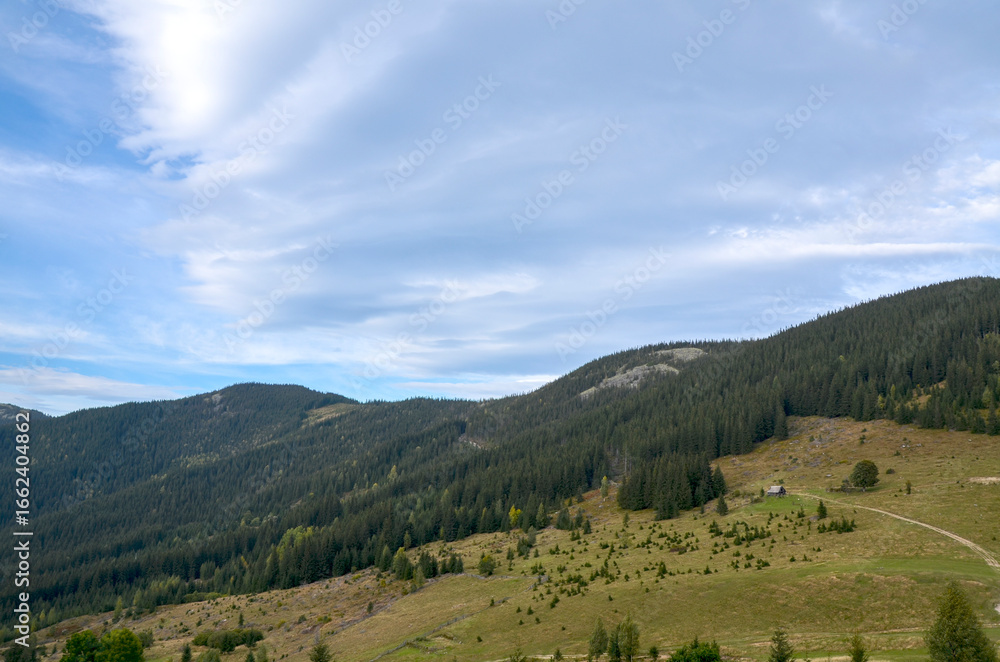 Fototapeta premium Valley with lush green hills and mountains covered in forests and grassy meadows under a cloudy sky. A few small houses are nestled in the valley. Carpathians, Ukraine