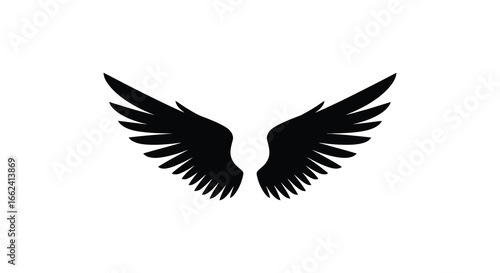 Black silhouette of wings spread wide on white background