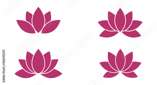 Four pink lotus flowers in different stages of bloom on white background