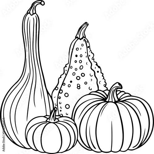 "Autumn Gourds Vector – Diverse Pumpkin & Squash Line Art for Seasonal, Educational & Whimsical Assets"