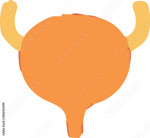 Abstract watercolor bladder illustration, isolated background. Human urinary system artwork for urination function and health education design