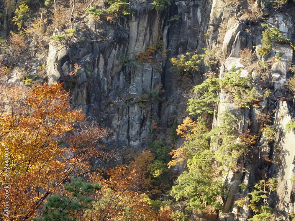 Fototapeta premium 日本：御岳昇仙峡の登竜岩／花崗岩の亀裂に輝石安山岩が入り込んだ珍しい板状節理の絶壁をアップ