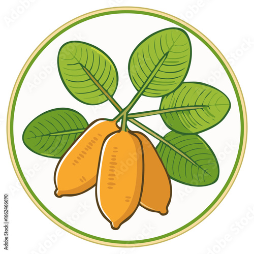 Branch with Orange Bean Pods and Green Leaves Emblem