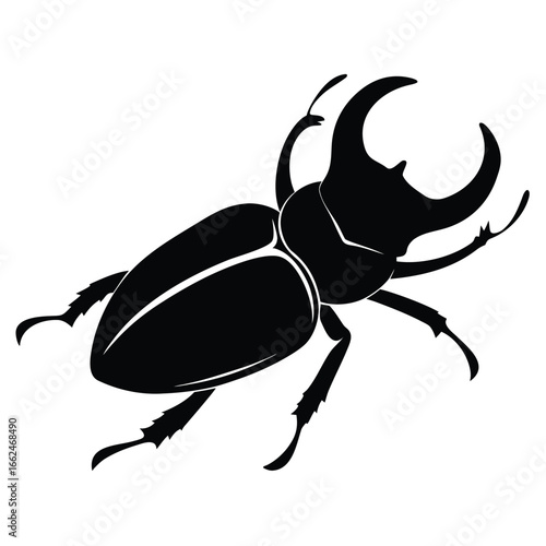Black rhinoceros beetle silhouette insect white background
