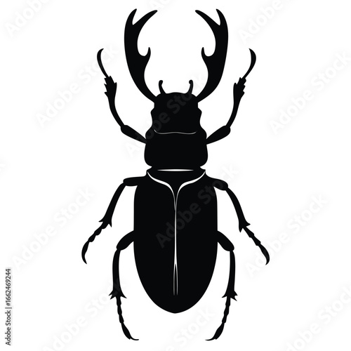 Black stag beetle silhouette insect macro