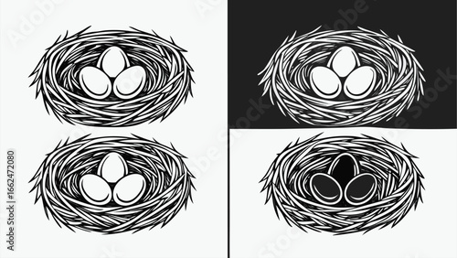 Bird nests with eggs wildlife nature