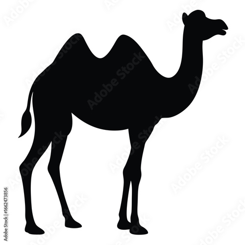 Vector art of silhouette of a bactrian camel, a mammal from the desert, asia, china, used for transport and travel