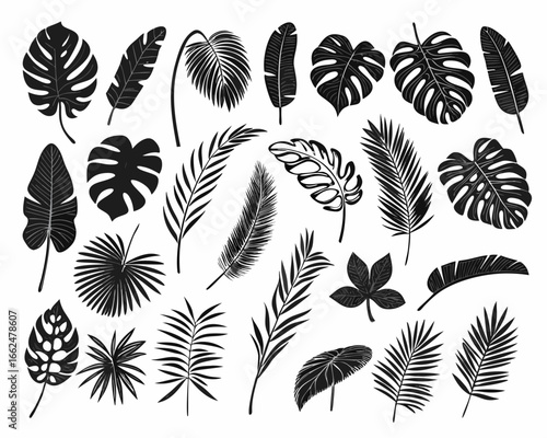 Collection of silhouettes of tropical leaves