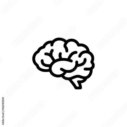 human brain vector illustration