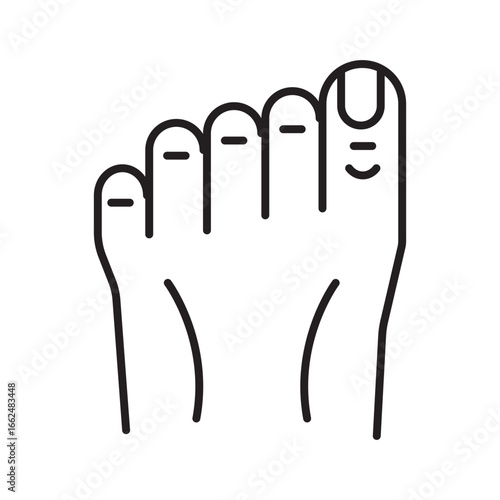 Ideal for medical, anatomical, fitness or podiatry content. Closeup shot of a human foot with all five toes visible.