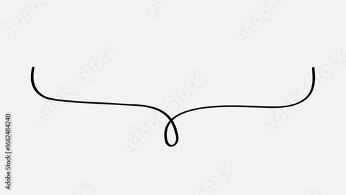 Minimalist elegant decorative flourish vector