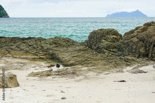 Smugglers Bay, Whangārei Heads, Northland, New Zealand