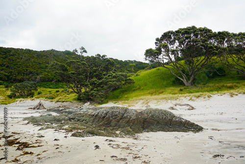 Smugglers Bay, Whangārei Heads, Northland, New Zealand