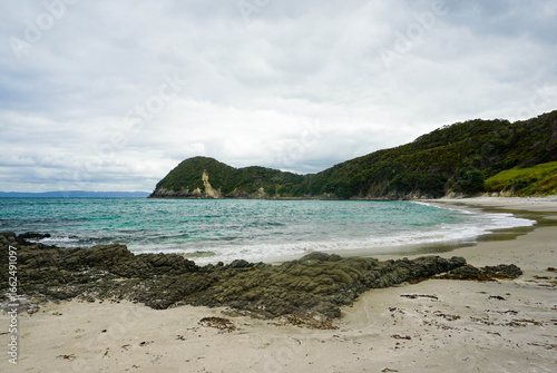 Smugglers Bay, Whangārei Heads, Northland, New Zealand