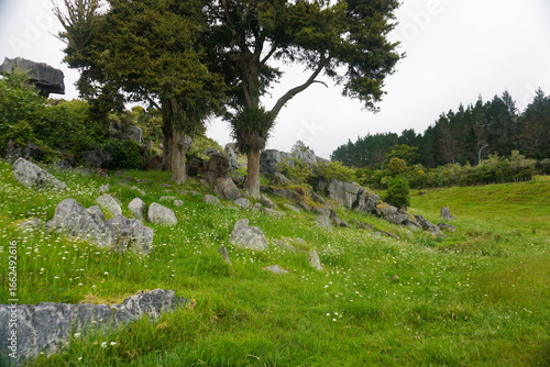 Waro Limestone Scenic reserves, Hikurangi, New Zealand.	