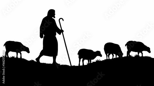 Silhouette of a shepherd with a staff walking with his flock of sheep on a grassy hill in black and white