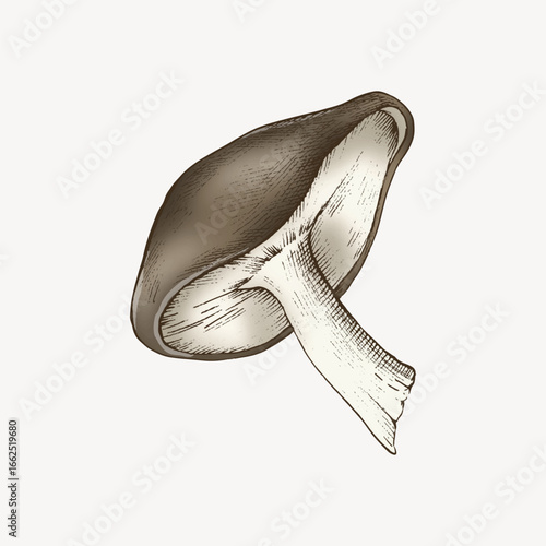 Brown mushroom illustration vector