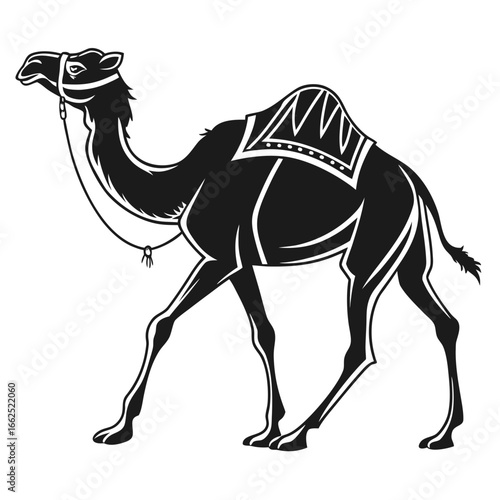 camel-walking