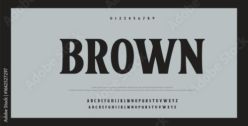 
Bold Serif Font in modern style with a big set of different ligatures, this typeface can be used for logos